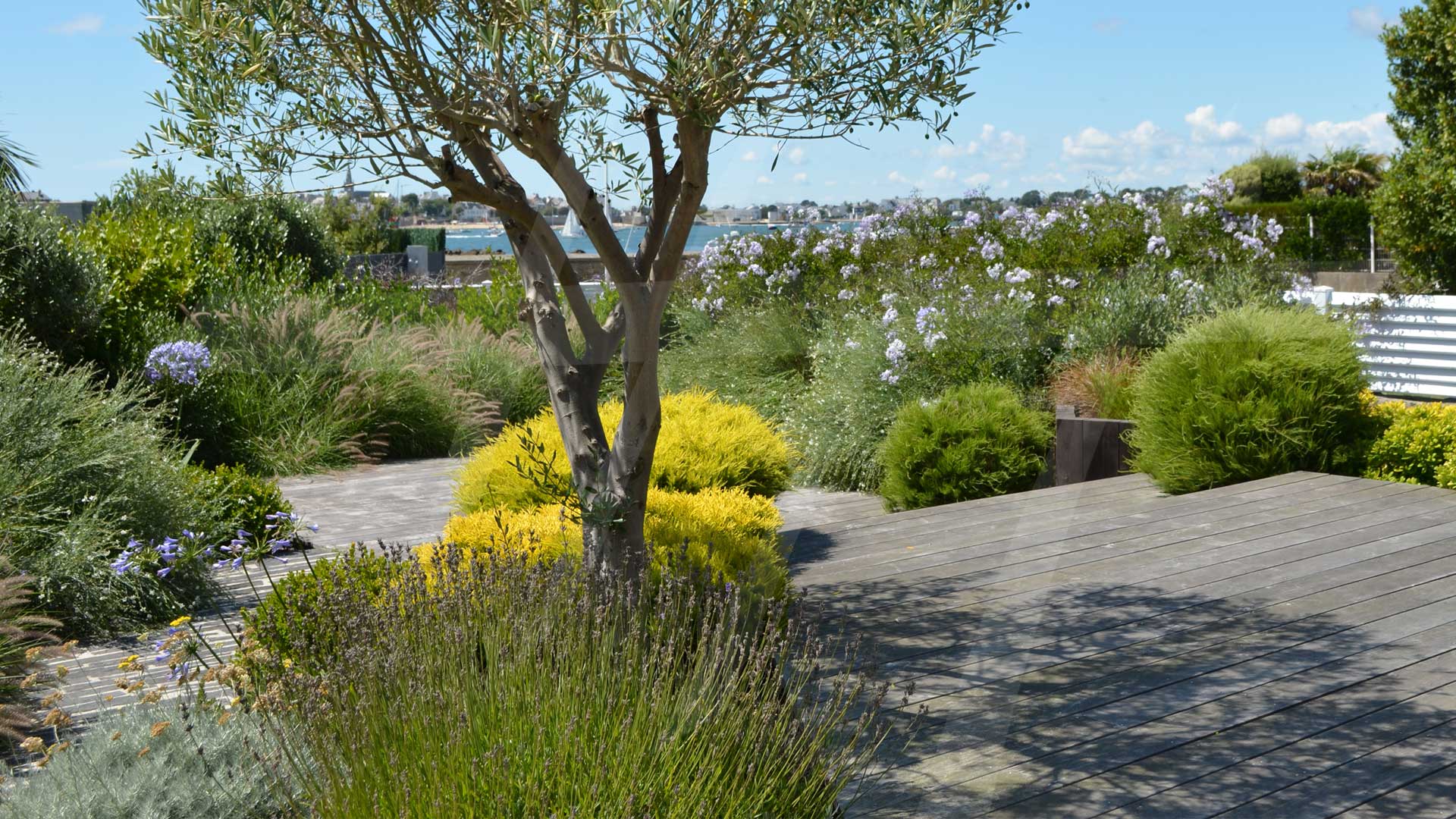 Jardin à larmor plage avec un décor végétal soigné autour d'une terrasse bois