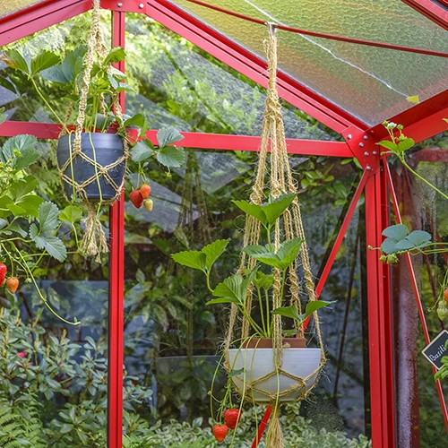 Thermolaquage personnalisé sur serres ACD