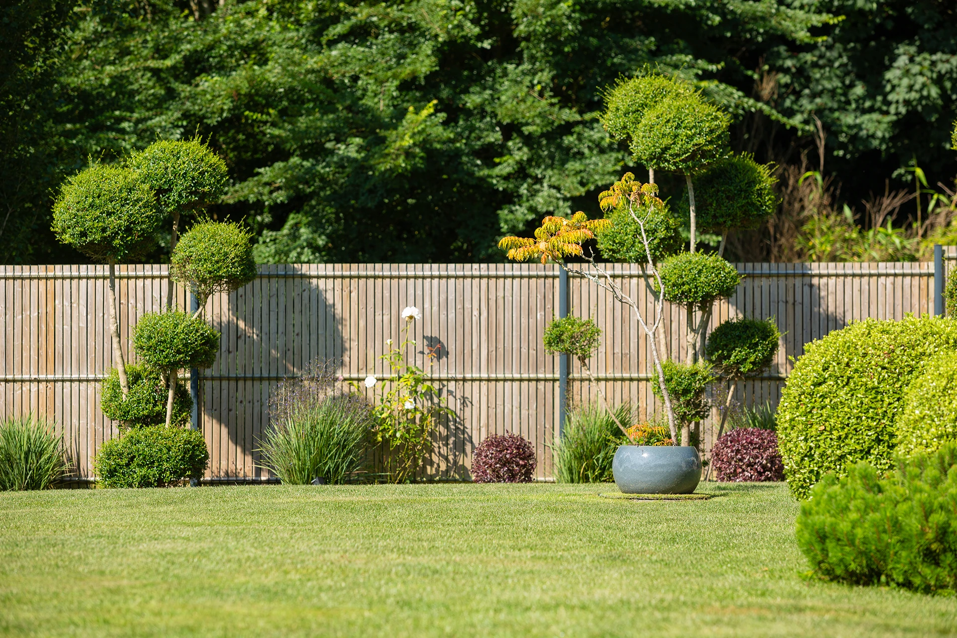 Cloture grillage et lames occultante en bois