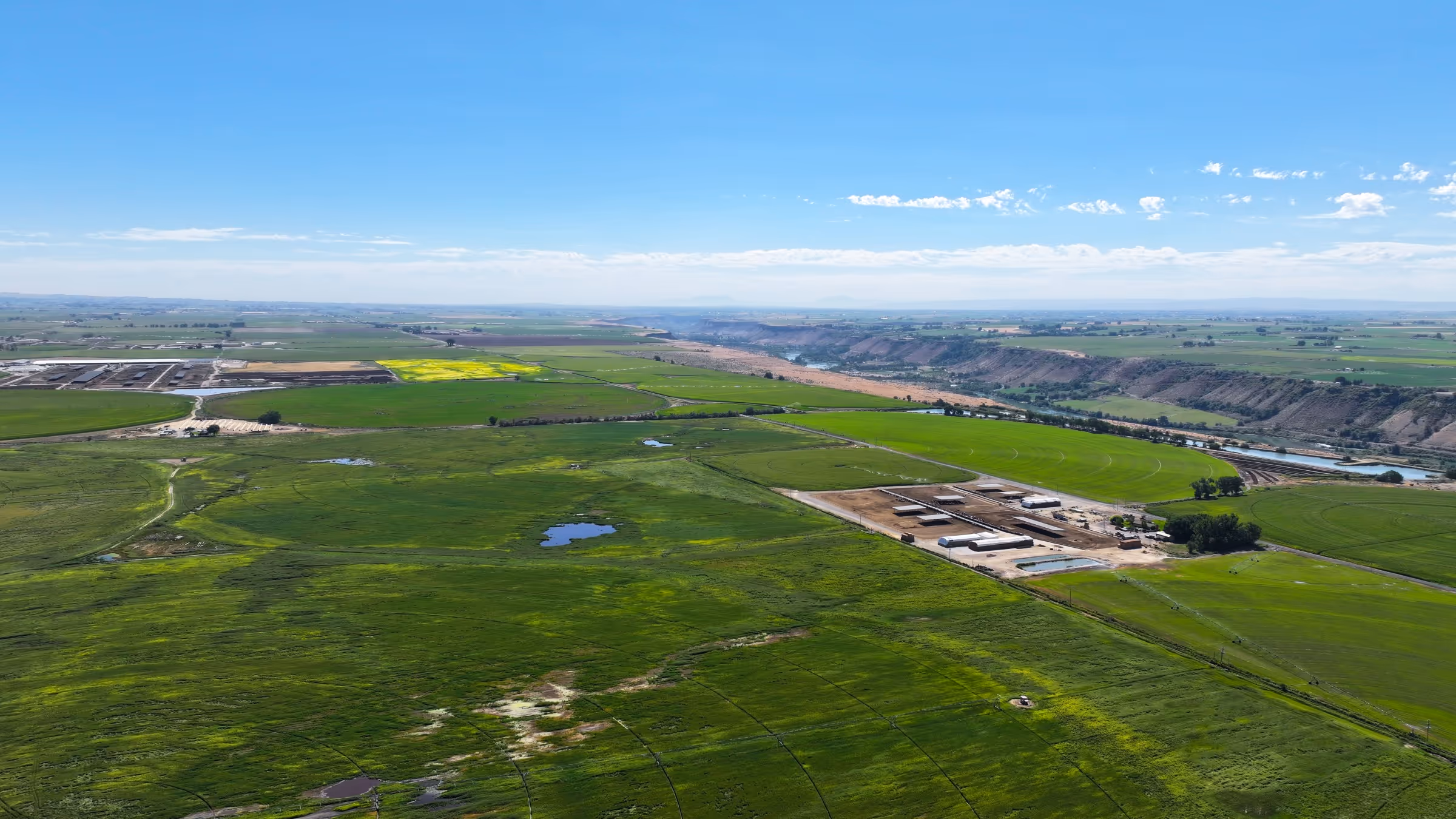 Blog thumbnail image