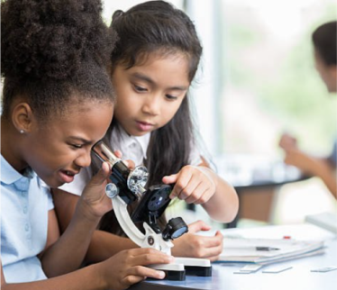 Students working on a project and analyzing through microscope
