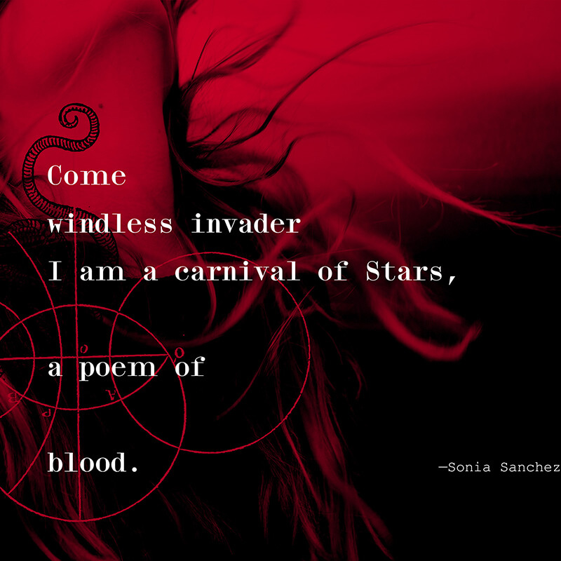 Instagram post: Come windless invader I am a carnival of Stars, a poem of blood, by Sonia Sanchez
