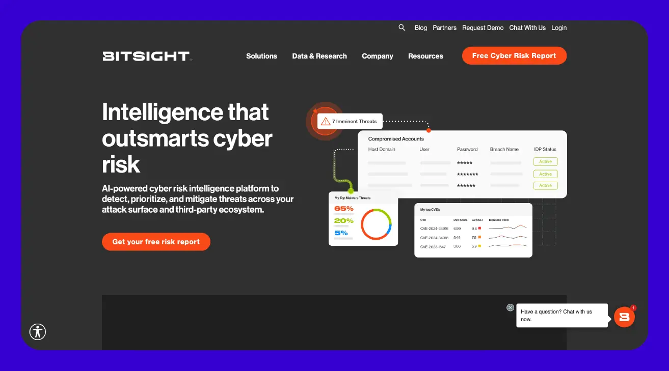 Screenshot of Bitsight website