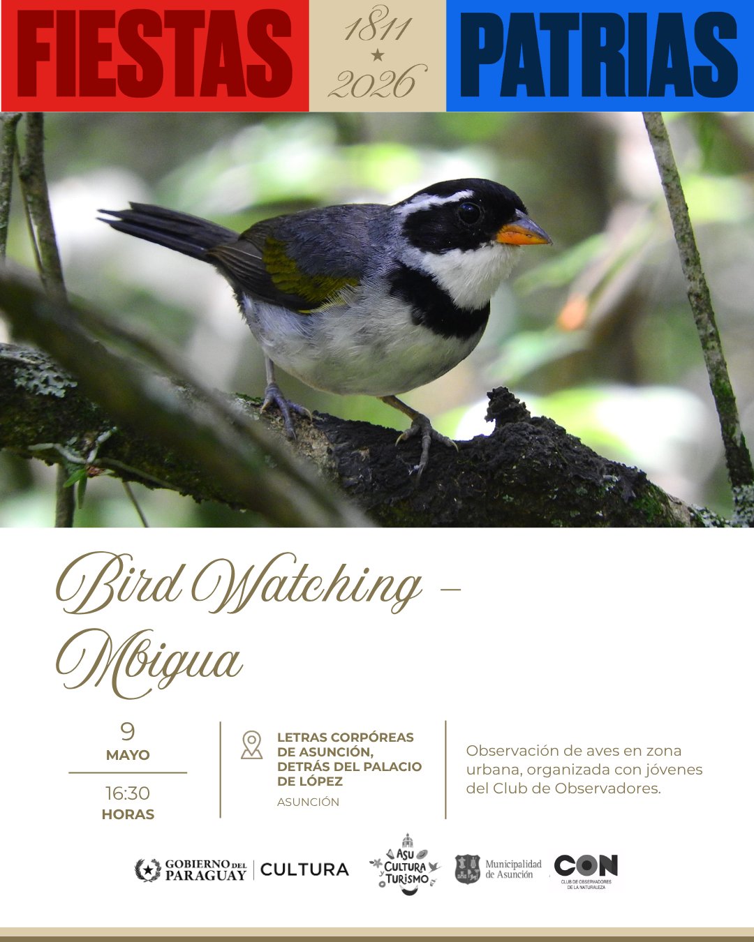 Bird Watching – Mbiguá