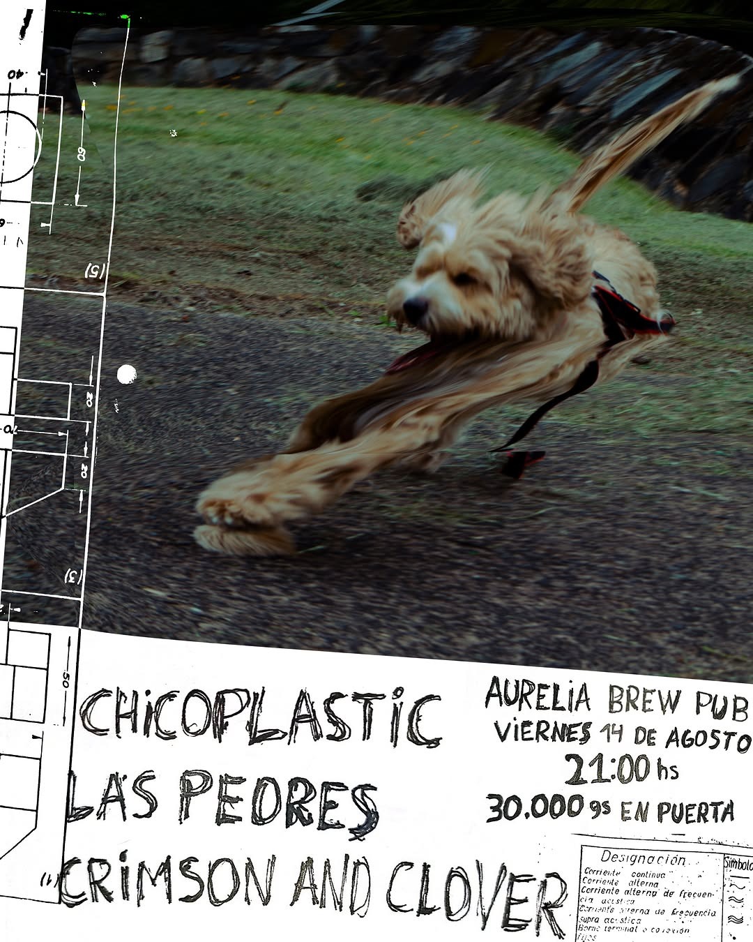 Show punk: Chicoplastic, Las Peores Obra Punk y Crimson and Clover