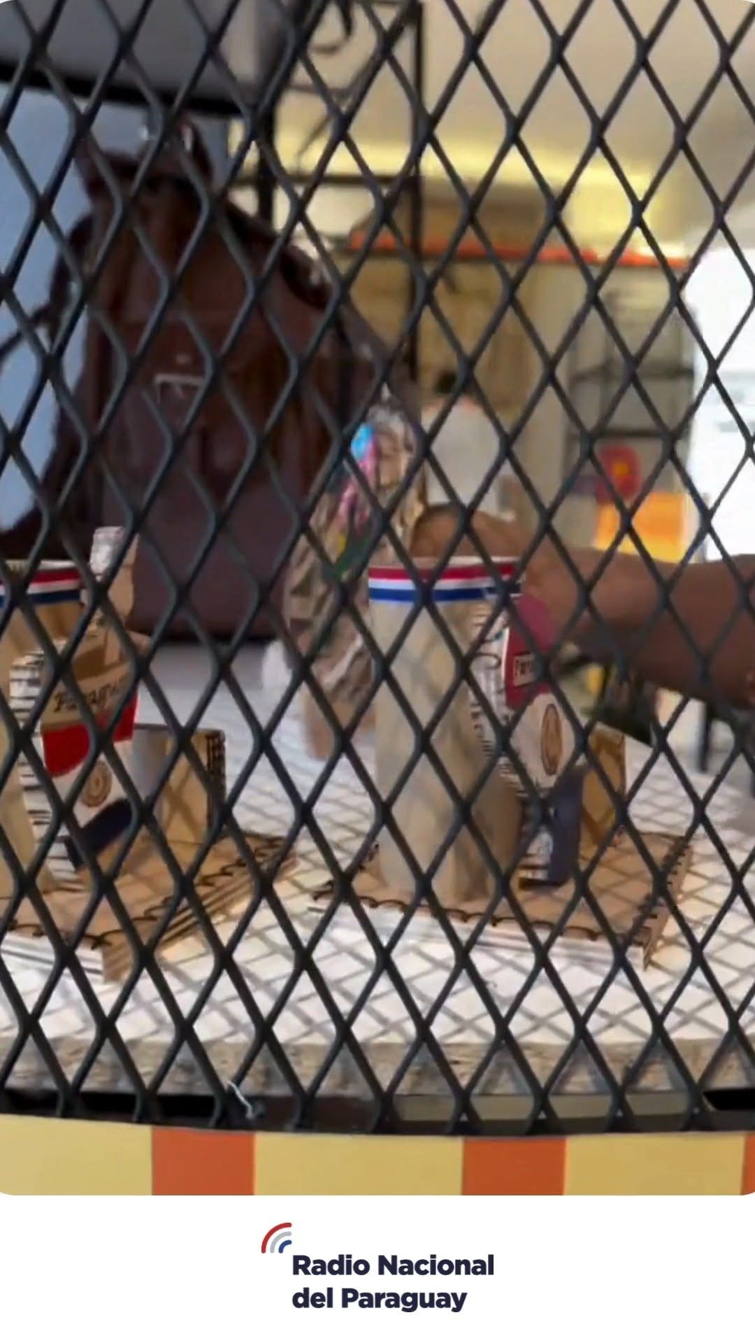 Artesanía de La Recova en el Puerto de Asunción