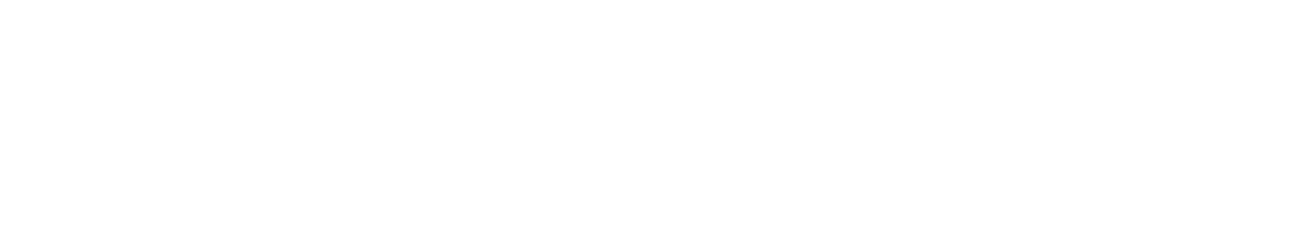 Digital Permit Book