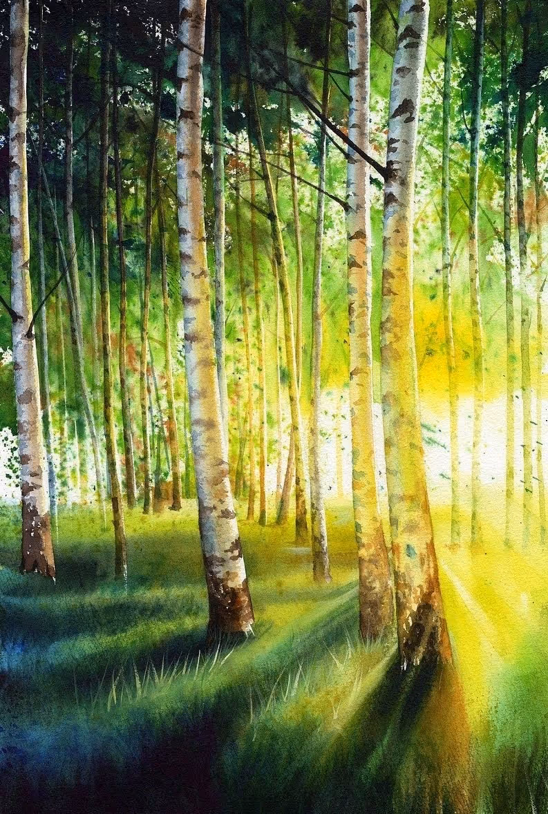 Birchtree by Deb Deaton