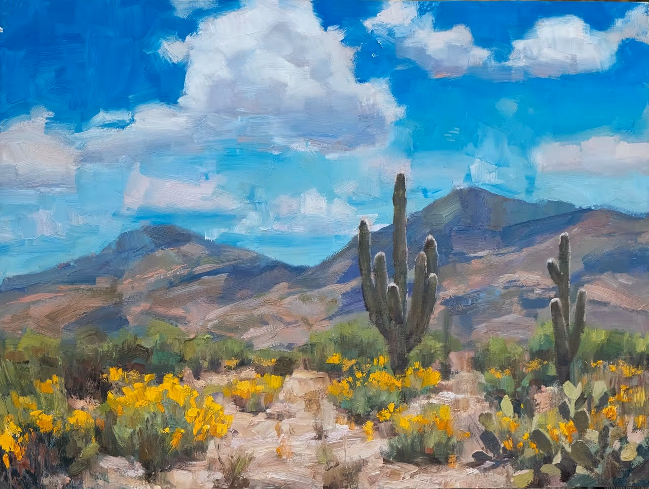 Sonoran Spring by Charles Thomas