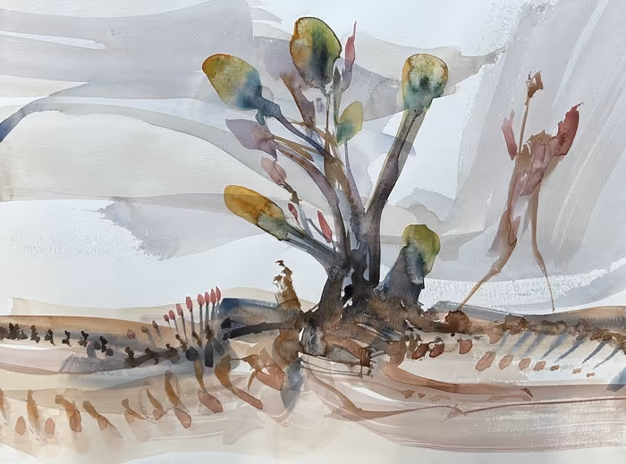 Buds and Blossoms by Phil Lichtenhan(Honorable Mention)