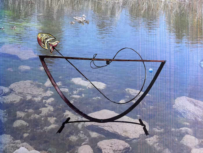 Fish Outta Water by David & Paula Perino (2025, Honorable Mention)
