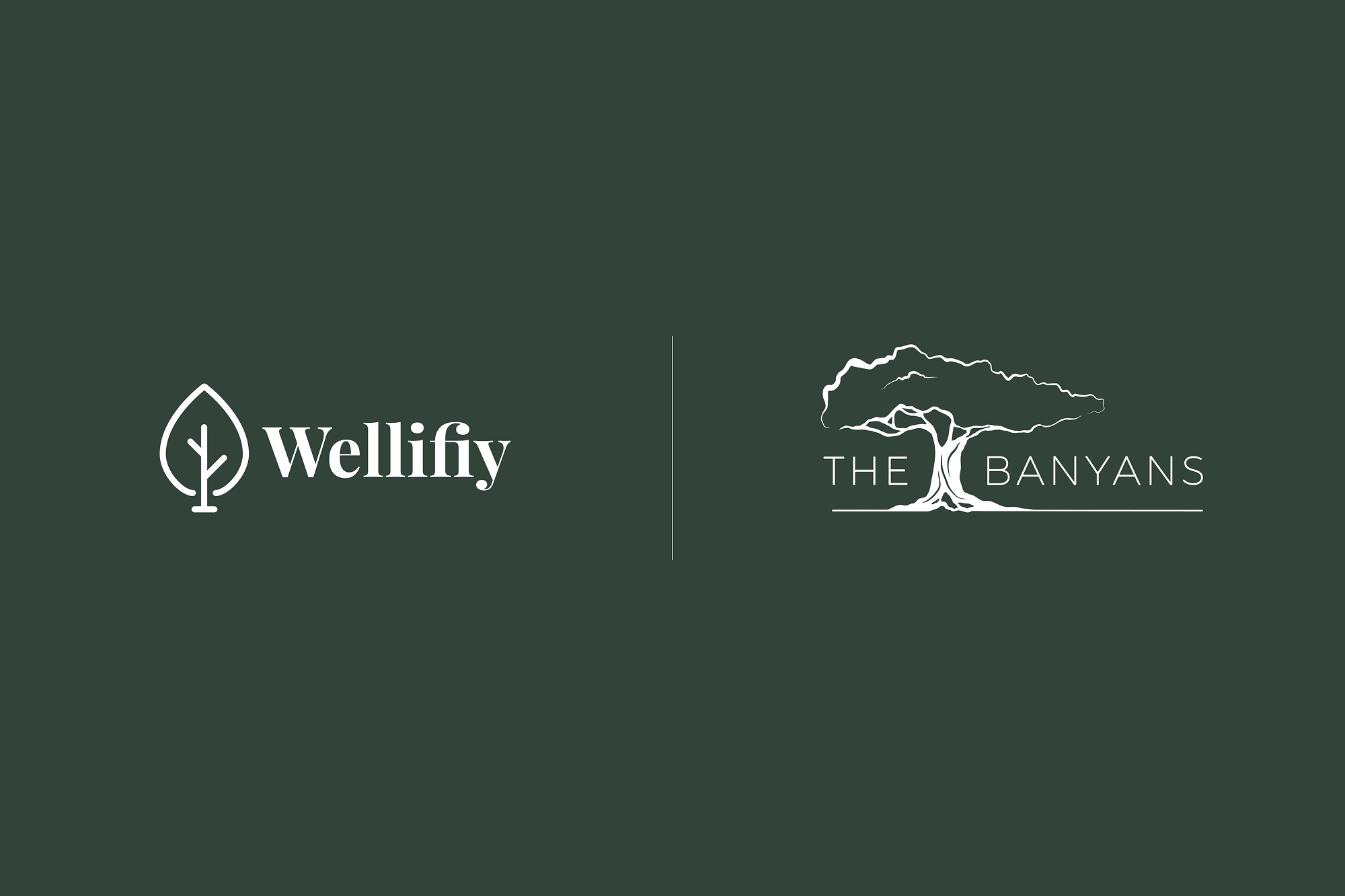 Wellifiy_Banyans Case Study