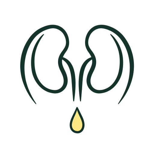Deux reins et une goutte