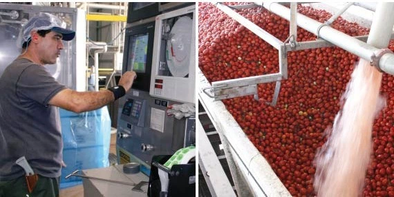 A machine operator in a food processing facility operating an industrial computer