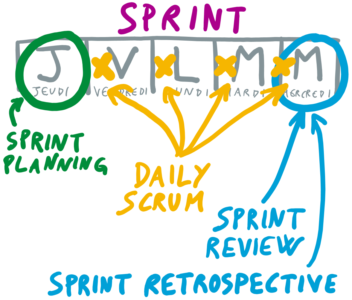Schéma décrivant une sprint de une semaine qui commence jeudi avec un sprint planning, vendredi avec un daily, lundi un daily, mardi avec un daily et  mercredi avec un daily, une sprint review et une sprint retrospective.