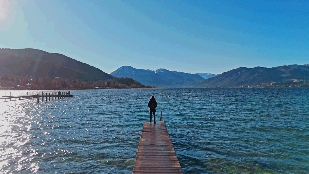 The Longevity Experiment.