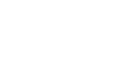 Logo Groupe Anett