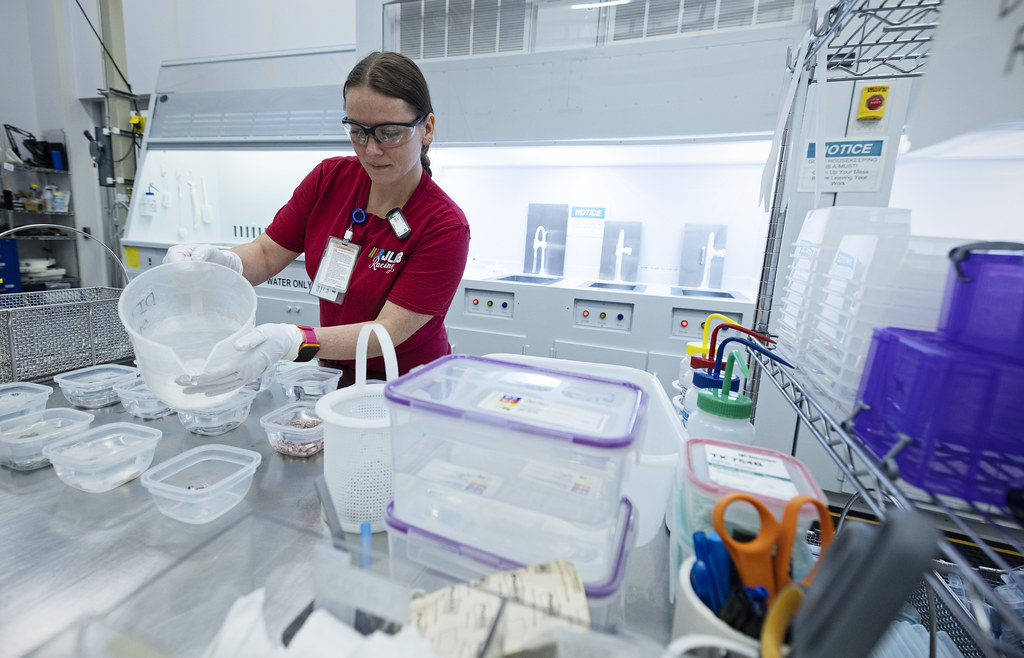 Technicienne de laboratoire à son poste de travail