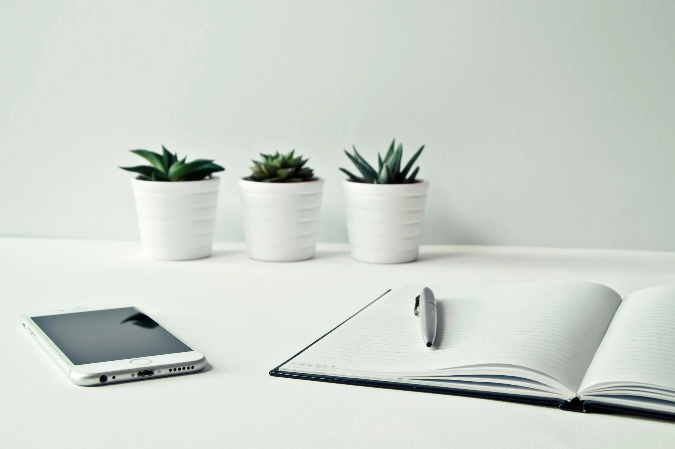 Plantes grasses, carnet ouvert et téléphone sur un bureau