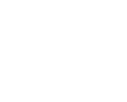 Logo Transport Besson