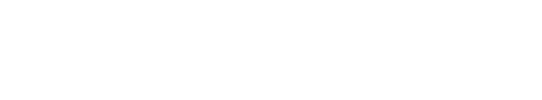 Logo Point S