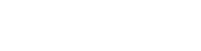 Logo Polytechnique