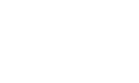 Anett Kalhyge logo