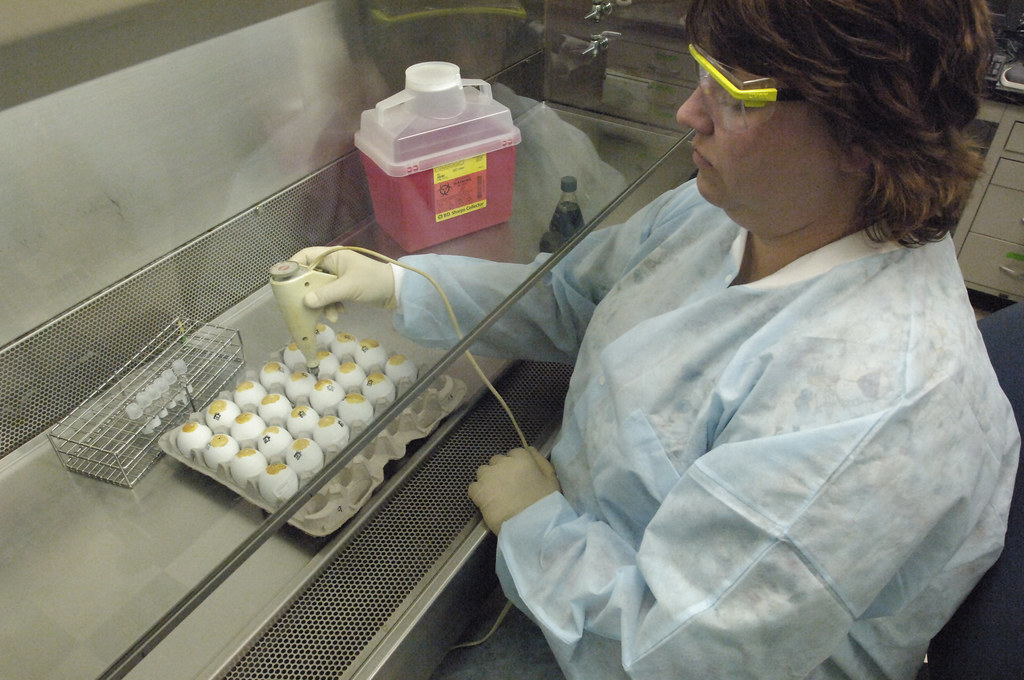 Técnica de laboratorio analizando muestras