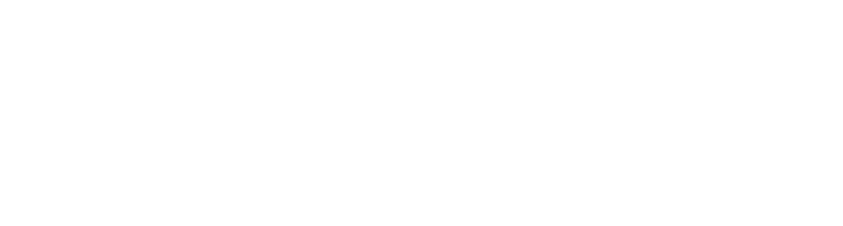 Logo DG Boost