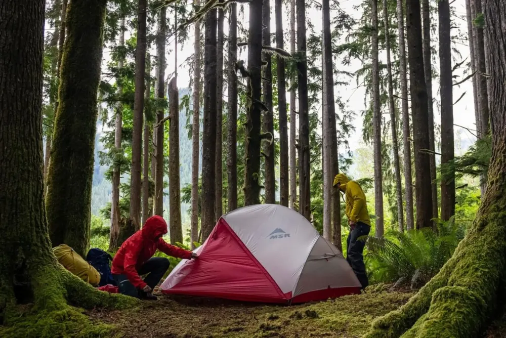 Twee kampeerders zetten een tent op in het bos