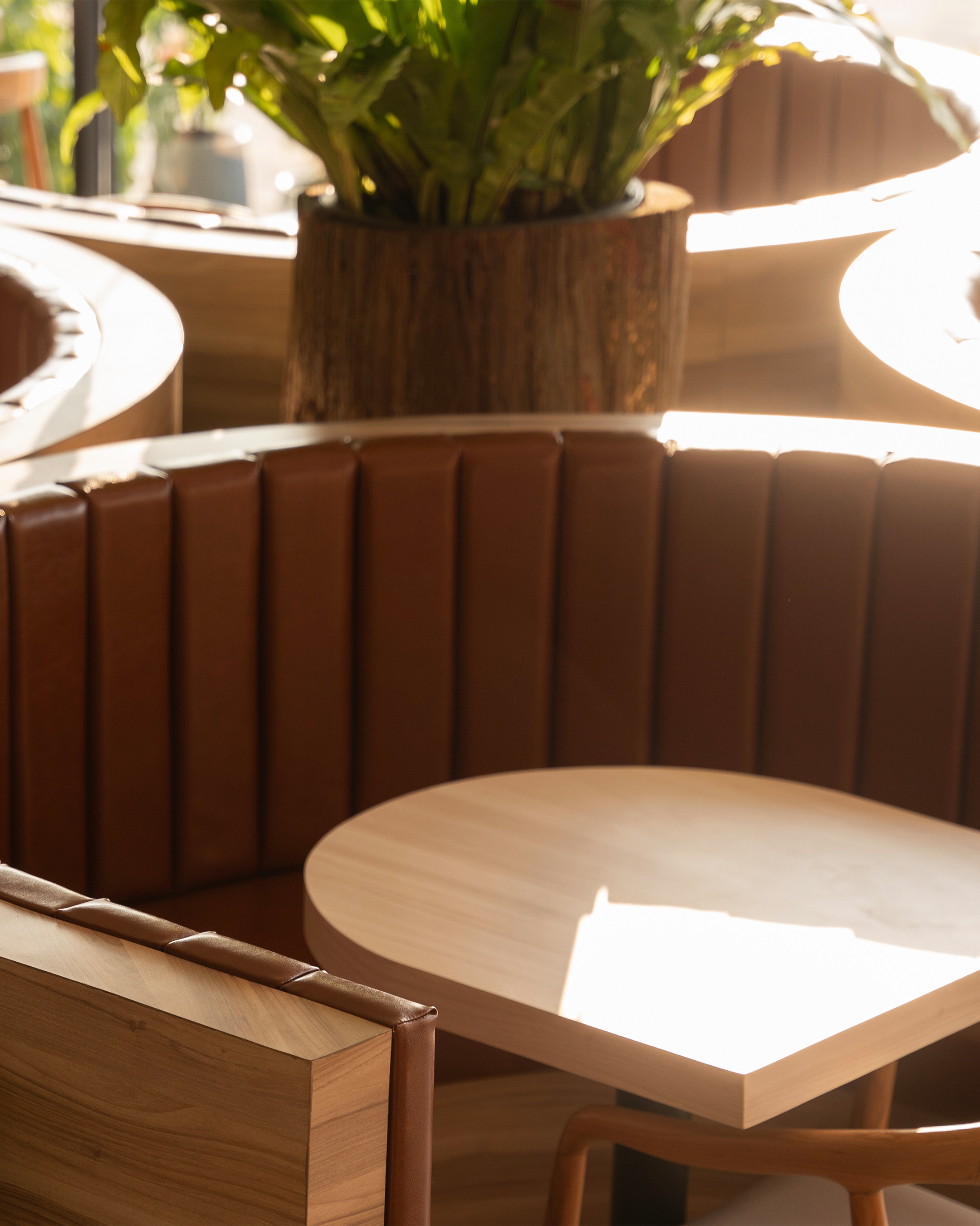 Coin salon avec banquette circulaire en cuir marron, table en bois clair et plante verte en arrière-plan.