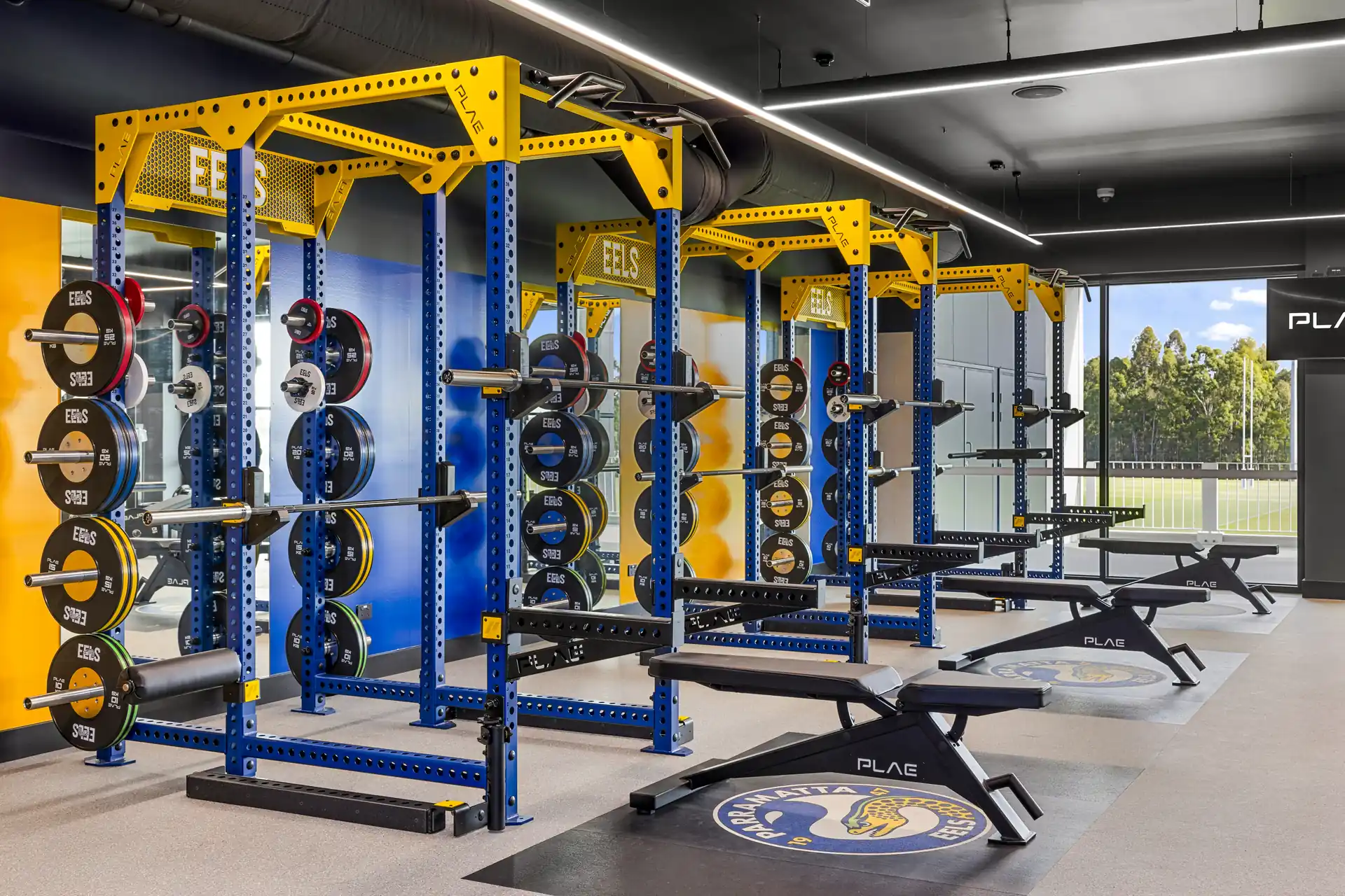Blue and gold PLAE ICON X racks loaded with Eels bumper plates beside PLAE benches at the Parramatta Eels Centre of Excellence