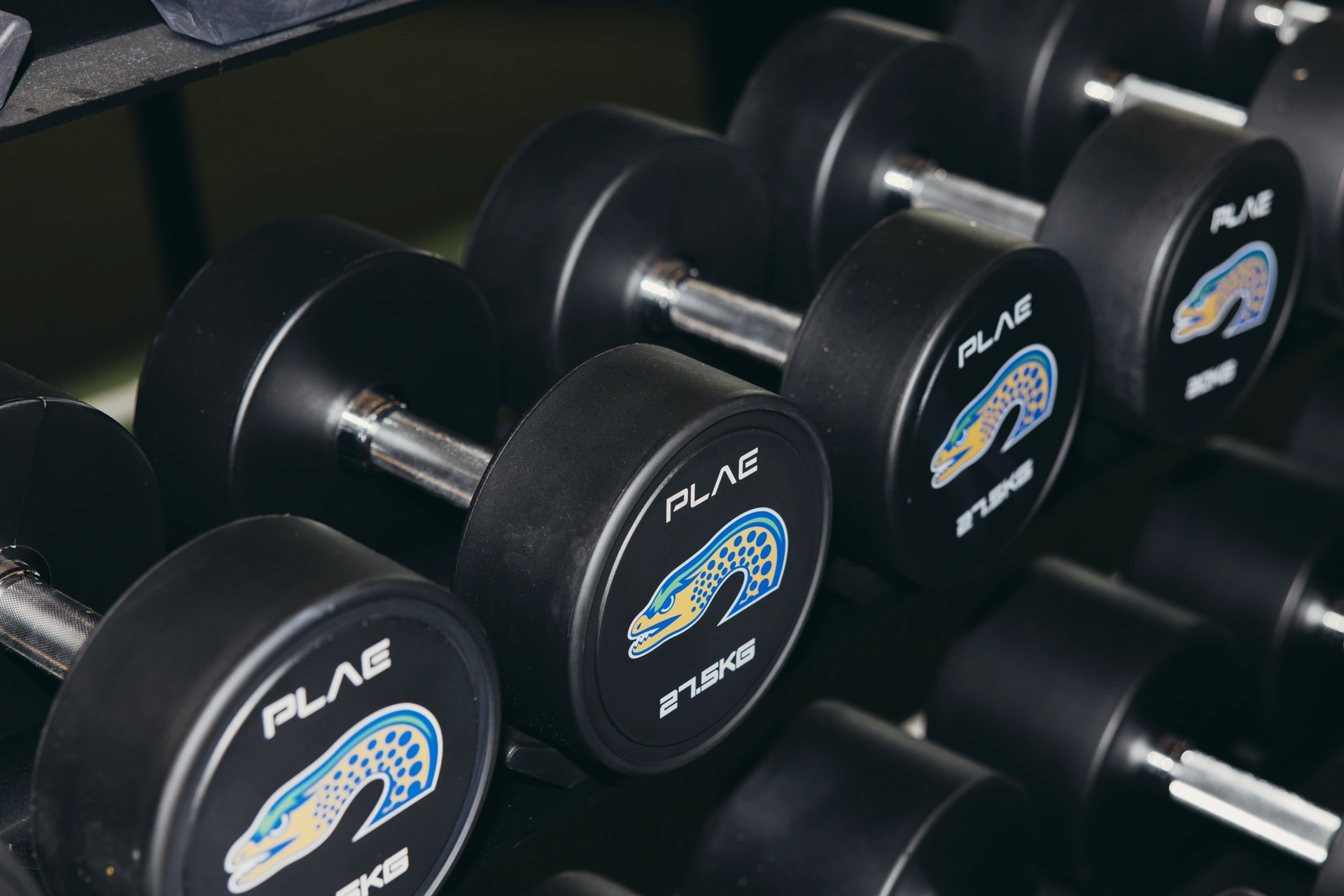Close-up of Parramatta Eels branded PLAE dumbbells with the club eel logo at the Centre of Excellence