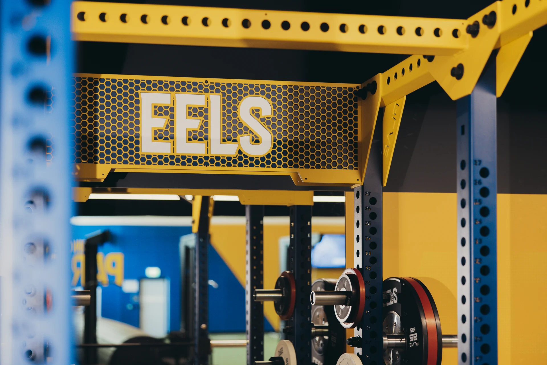 Blue and gold EELS laser-cut crown on a PLAE ICON X rack, a signature branded feature at the Parramatta Eels gym