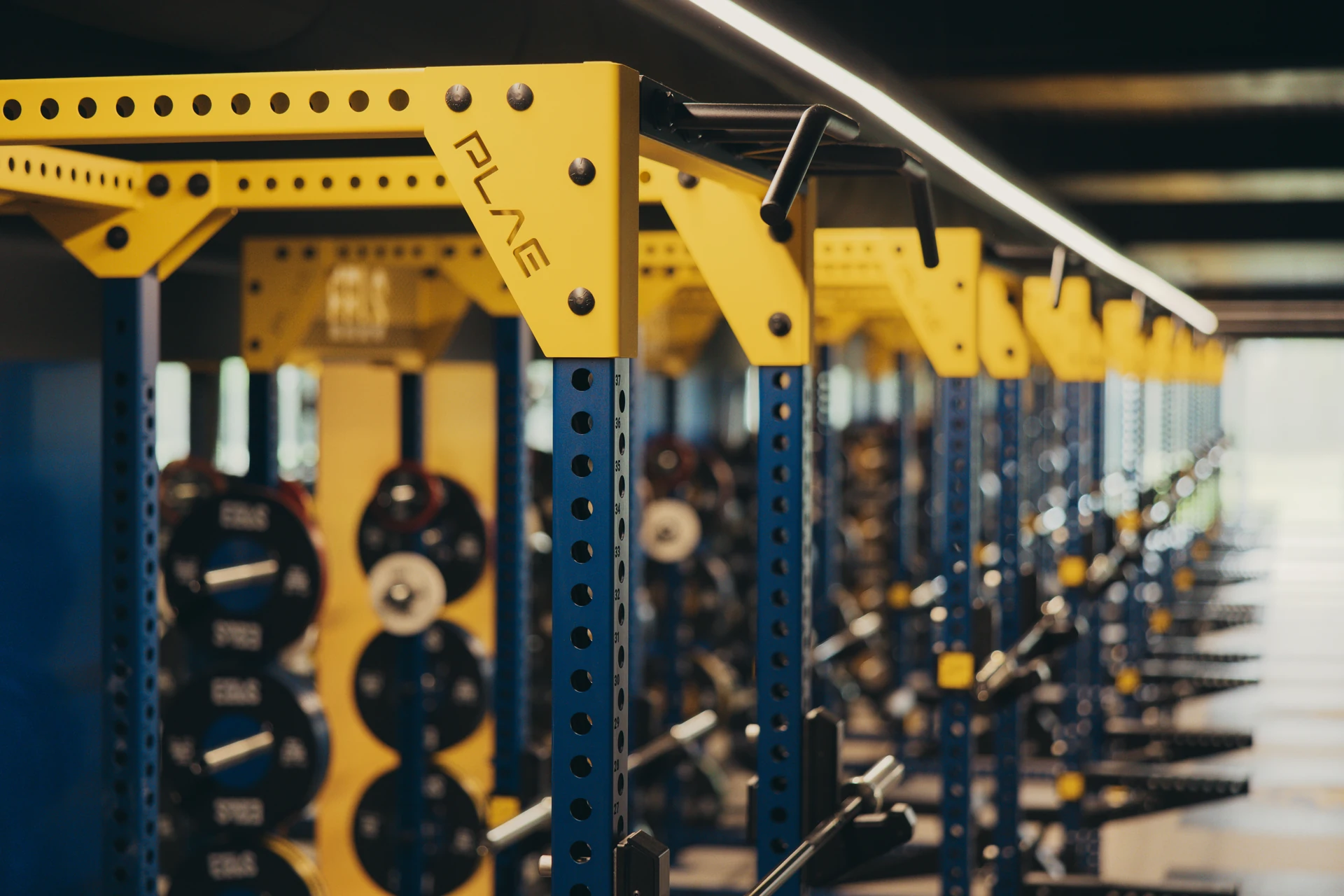 Detail of a yellow PLAE gusset and Eels rack crown along the blue PLAE ICON X racks at the Parramatta Eels gym