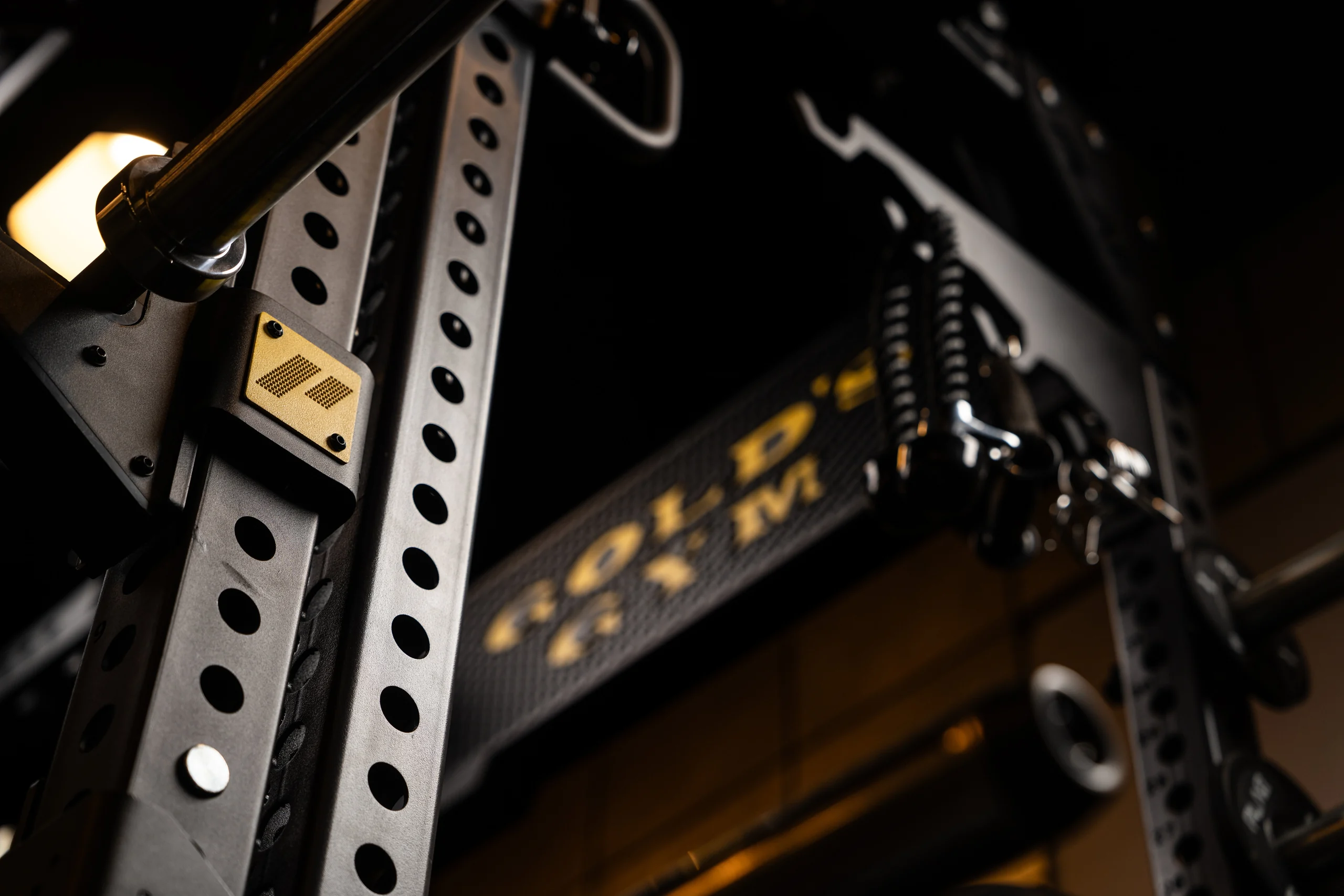 PLAE ICON X rack upright with a gold PLAE badge and Gold's Gym branded crown at Gold's Gym Austin