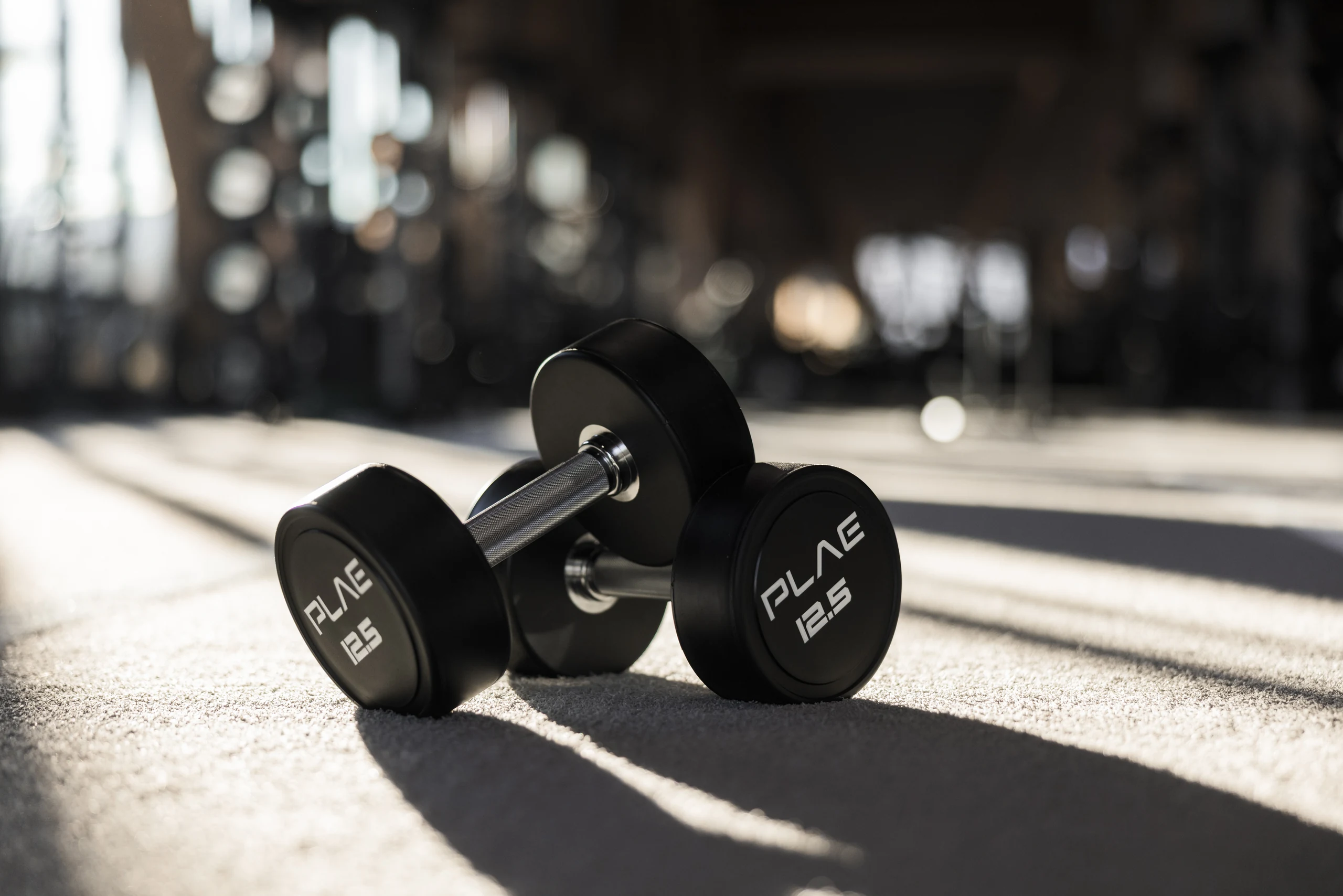Pair of PLAE 12.5kg round dumbbells lit by raking sunlight on Achieve rubber flooring at The Mill, Queenstown.