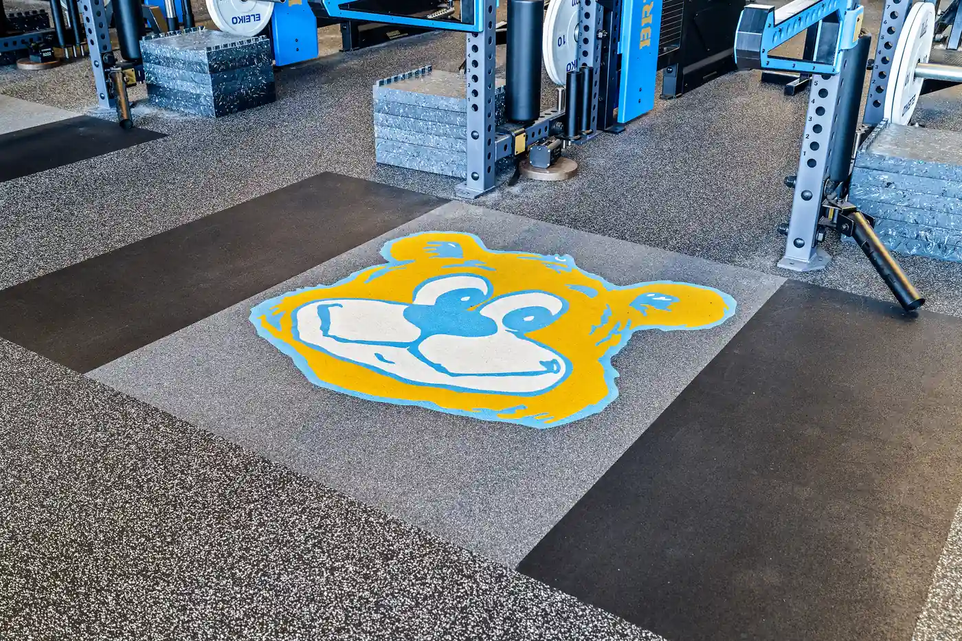 UCLA Bruins bear logo embedded into the gym flooring beside a PLAE power rack.