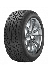 255/55R180Taurus0SUV0WINTER0109V