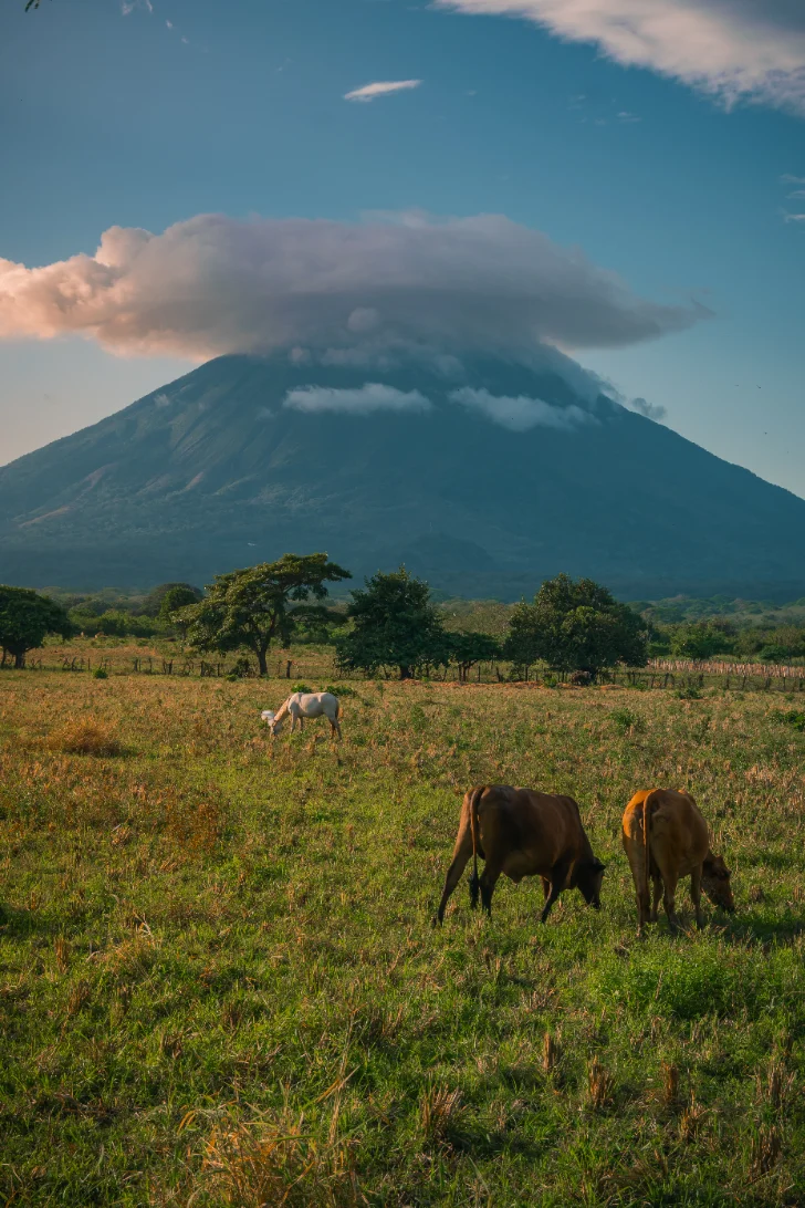 Ometepe or Granada