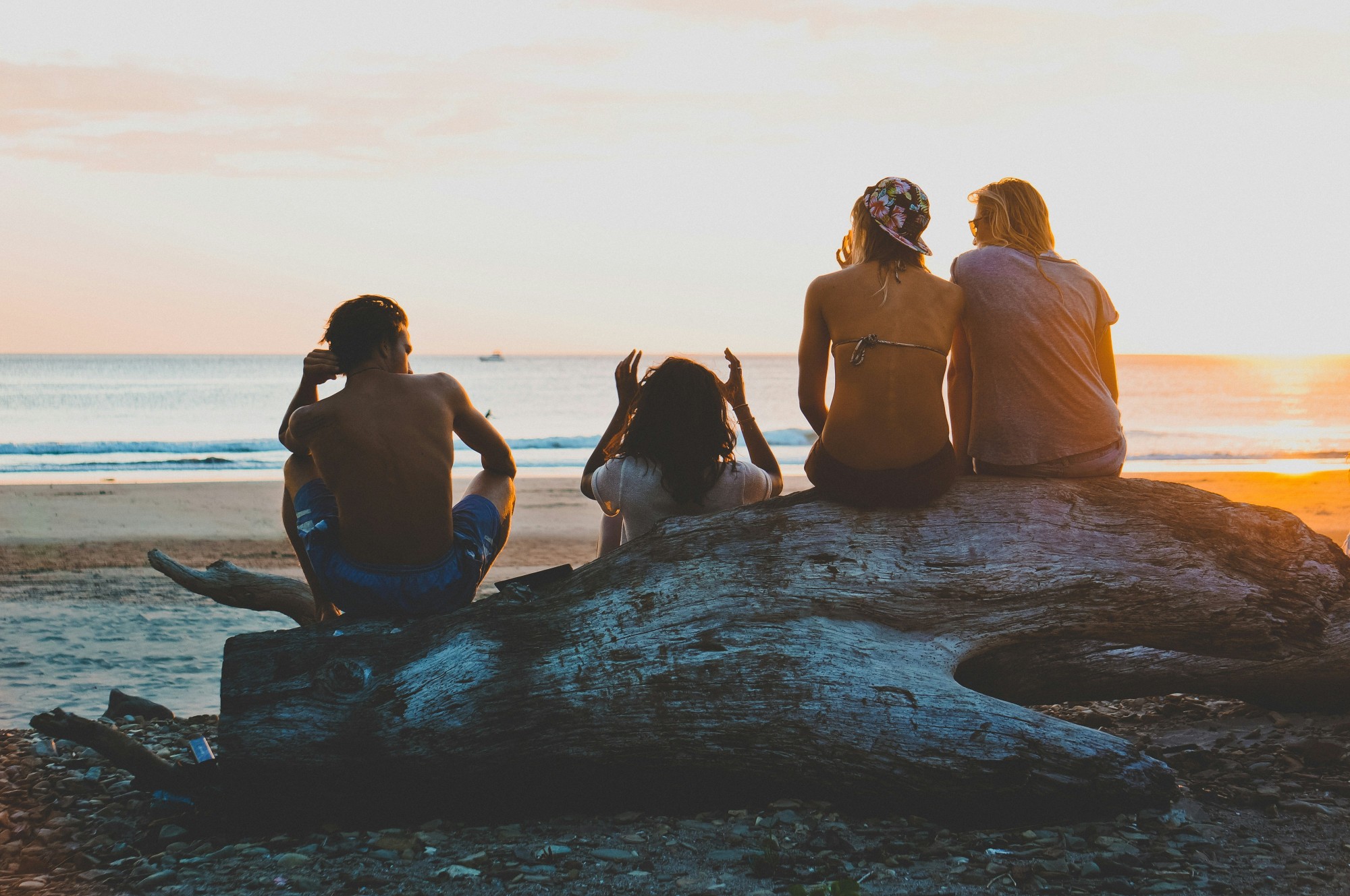 Four friends sitting on driftwood watching the sunset from the beach