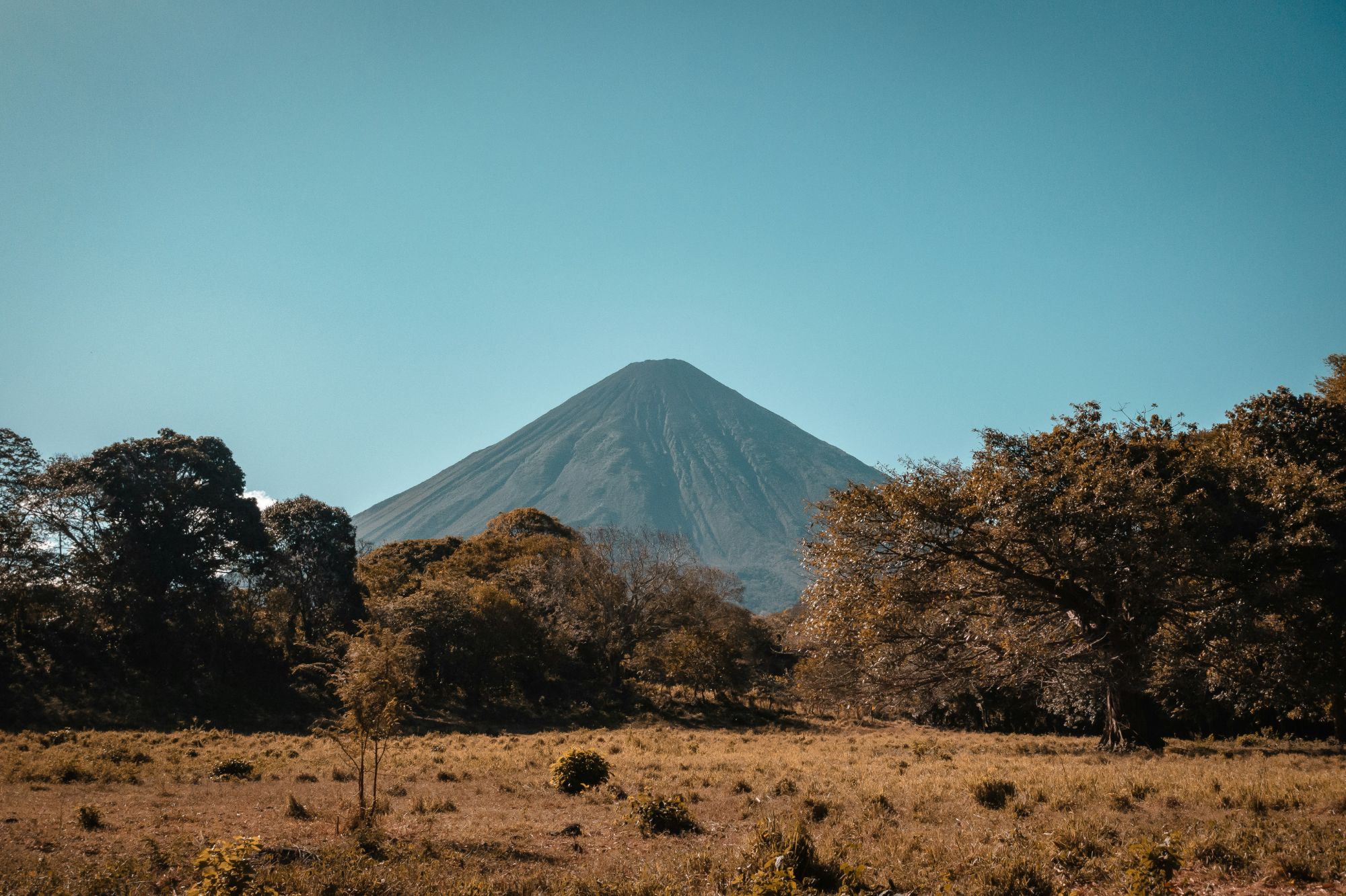 Concepción volcano rising over dry grassland and trees on Ometepe