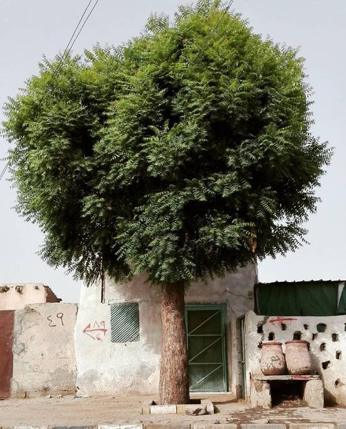 Sabil in Sinkat © Shorrti