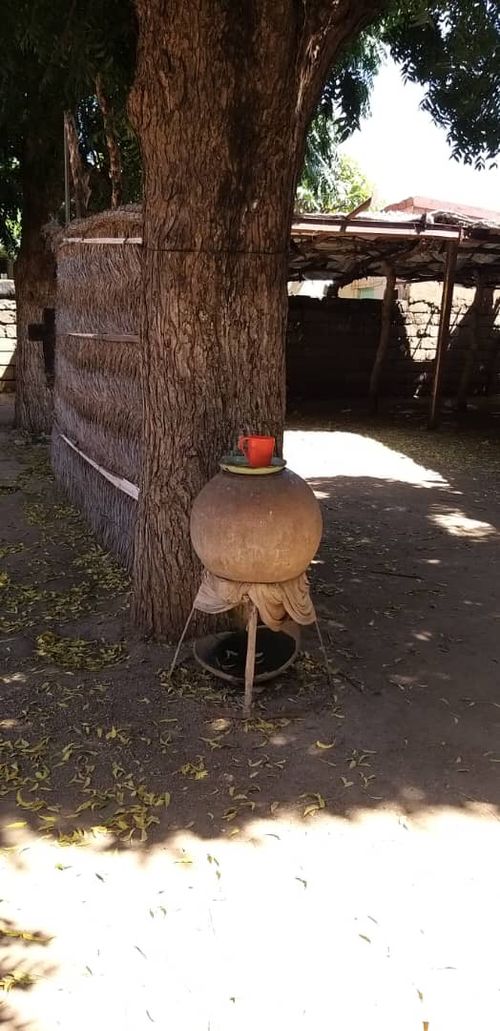 A small Zir in Dalanj © Shorrti