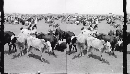 المسجد الكبير مستخدم كسوق © أرشيفات جامعة دورهام