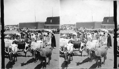 المسجد الكبير مستخدم كسوق © أرشيفات جامعة دورهام