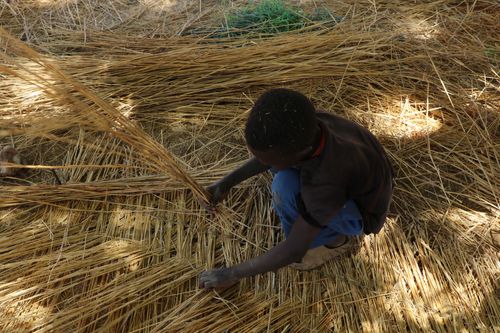 أماني بشير، متحف شيكان، تسجيل التراث الثقافي غير المادي، الشرقانية، الأبيض، ديسمبر ٢٠٢٣