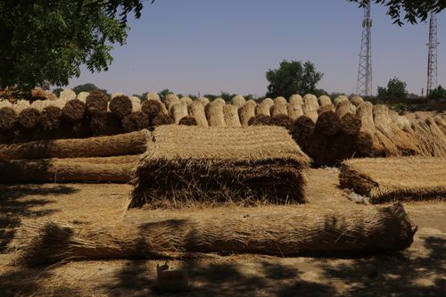 أماني بشير، متحف شيكان، تسجيل التراث الثقافي غير المادي، الشرقانية، الأبيض، ديسمبر ٢٠٢٣