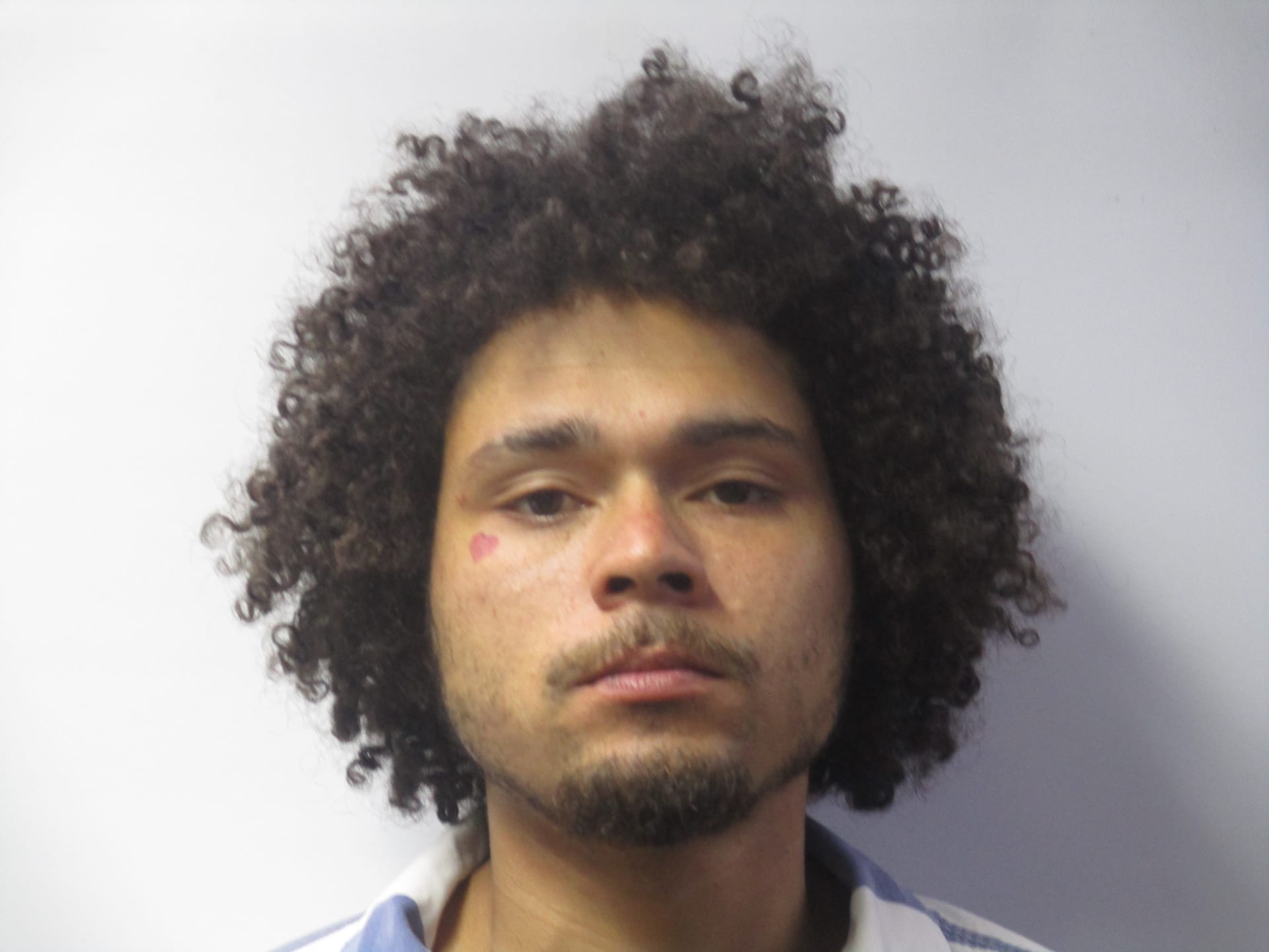 DONALD LEE DEQON VICE