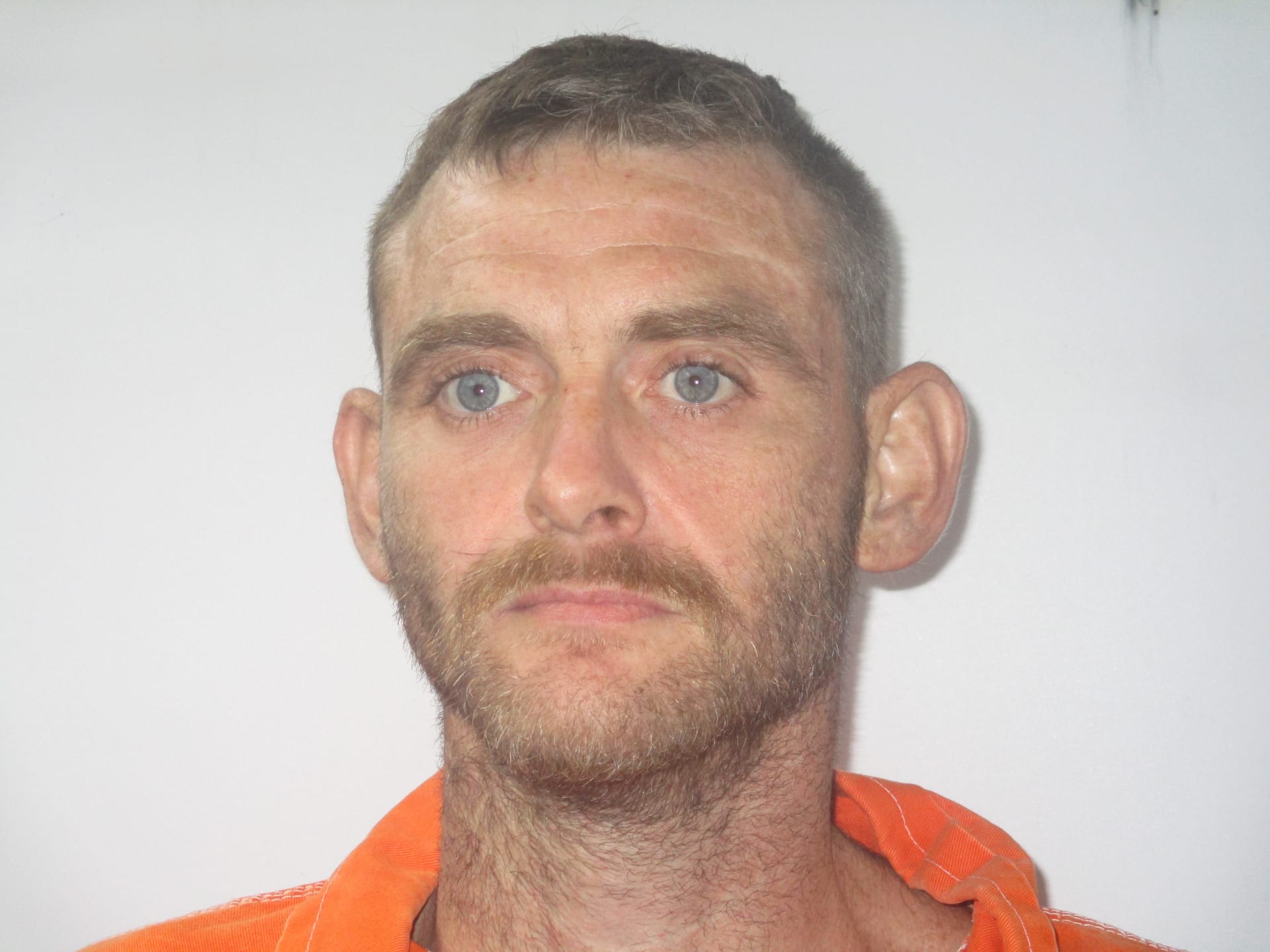 PURVIS MATTHEW PROVOST